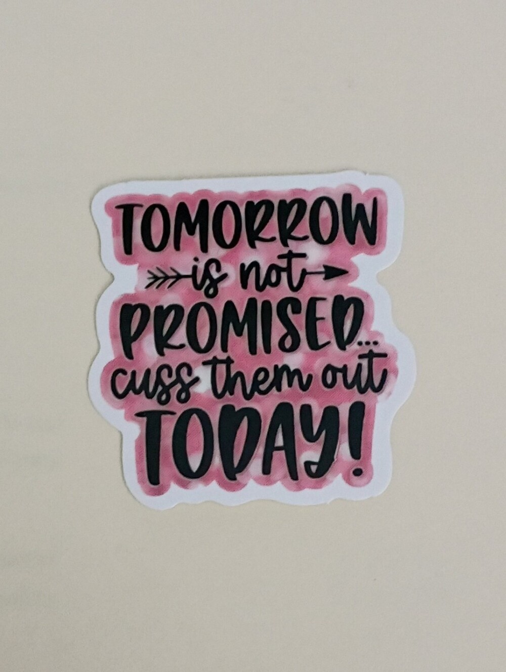 10/$10 Stickers Decal - Tomorrow Is Not Promised Cuss Them Out Today Pink Black